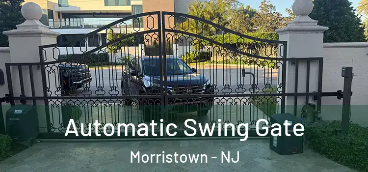  Automatic Swing Gate Morristown - NJ